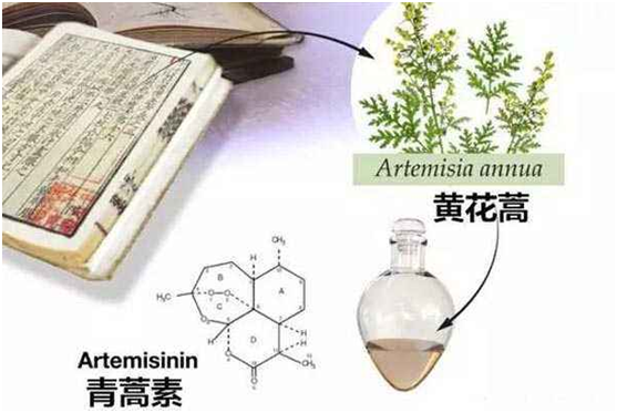 江南平台,江南（中国）：向中医药看齐，与世界共享中医药文化(图1)